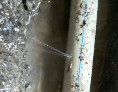 蒙自测漏水哪家好