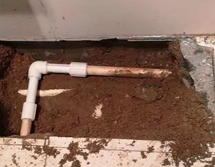 蒙自测漏水哪家好