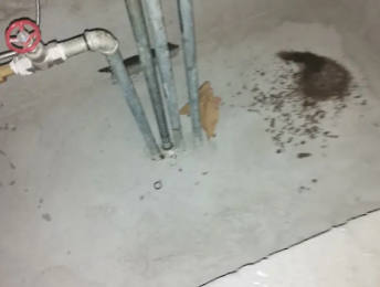 蒙自卫生间测漏水价格明细