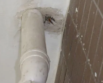 蒙自漏水检测哪家好